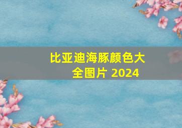 比亚迪海豚颜色大全图片 2024